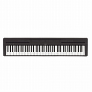 YAMAHA P-45B