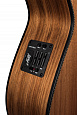 Maton EBW808