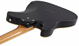 SCHECTER PT SPECIAL BLKP