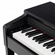 ROCKDALE Sonata Black