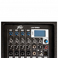 PEAVEY LN 1263