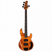 STERLING StingRay HH Poplar Burl Top Amber