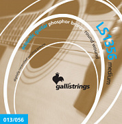 GALLI STRINGS LS1356