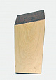 МОЗЕРЪ CPT-1
