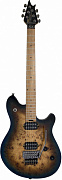 EVH WG STD, BKD M FB, MIDNIGHT SNST