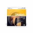 D`ADDARIO EJ14