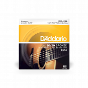 D`ADDARIO EJ14