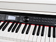 MEDELI DP370-PVC-WH