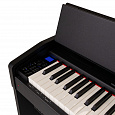 ROCKDALE Rondo Black