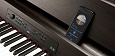 KORG G1B AIR BROWN