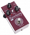 AMT Electronics RY-1 Reverberry