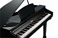 Kurzweil KAG100 BP