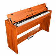 EMILY PIANO D-52 BR