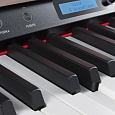 TESLER STZ-8870 ROSEWOOD