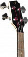STAGG SVY P-FUNK BLK