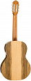 Kremona R65S-4/4 Rondo Soloist Series