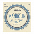 D`ADDARIO EJ62
