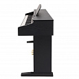 ROCKDALE Fantasia 128 Graded Black