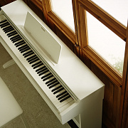 CASIO AP-270WEC7