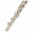 Pearl Quantz PF-F525RE