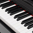 ROCKDALE Sonata Black
