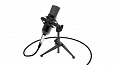 RITMIX RDM-160 Black