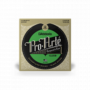 D`ADDARIO EJ25B