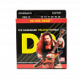 DR DBG-10