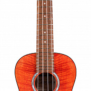 CORDOBA 15CFM Rose Red