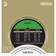 D`ADDARIO EJ25C Flamenco