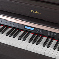 TESLER STZ-8870 ROSEWOOD