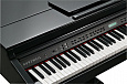 Kurzweil KAG100 BP