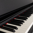 ROCKDALE Rondo Black