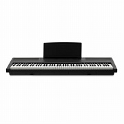Emotive Hammerpiano 1 BK