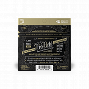 D`ADDARIO EJ25B