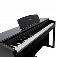 ROCKDALE Sonata Black