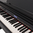 ROCKDALE Fantasia 128 Graded Black