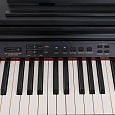 ROCKDALE Fantasia 128 Graded Black
