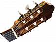 Kremona F65C Cedar Fiesta Soloist Series