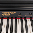 ROCKDALE Fantasia 128 Graded Black
