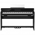 CASIO AP-S450BKC2