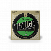 D`ADDARIO EJ25C