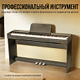 TESLER STZ-8805
