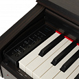 ROCKDALE Bolero Rosewood