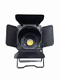 XLine Light LED PAR 200WB COB