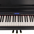 ROCKDALE Fantasia 128 Graded Black