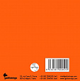 GALLI STRINGS V039