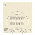 D`ADDARIO EJ62