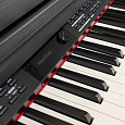 ROCKDALE Overture Black