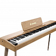 Donner DDP-60